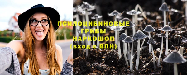 мет Тихвин