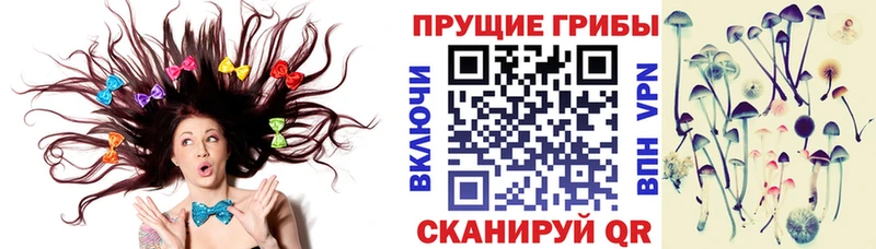 Галлюциногенные грибы мицелий  маркетплейс состав  Шахунья 