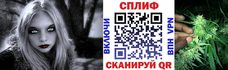 Канабис сатива  закладки  Шахунья 